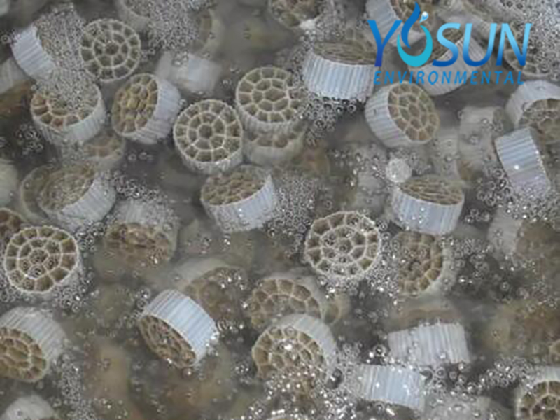 生物填料 生物填料